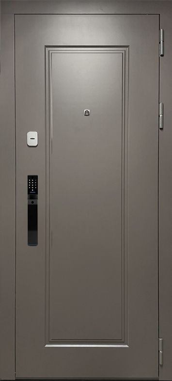 Входная дверь  