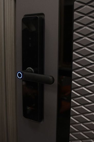 Входная дверь  