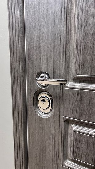 Входная дверь  